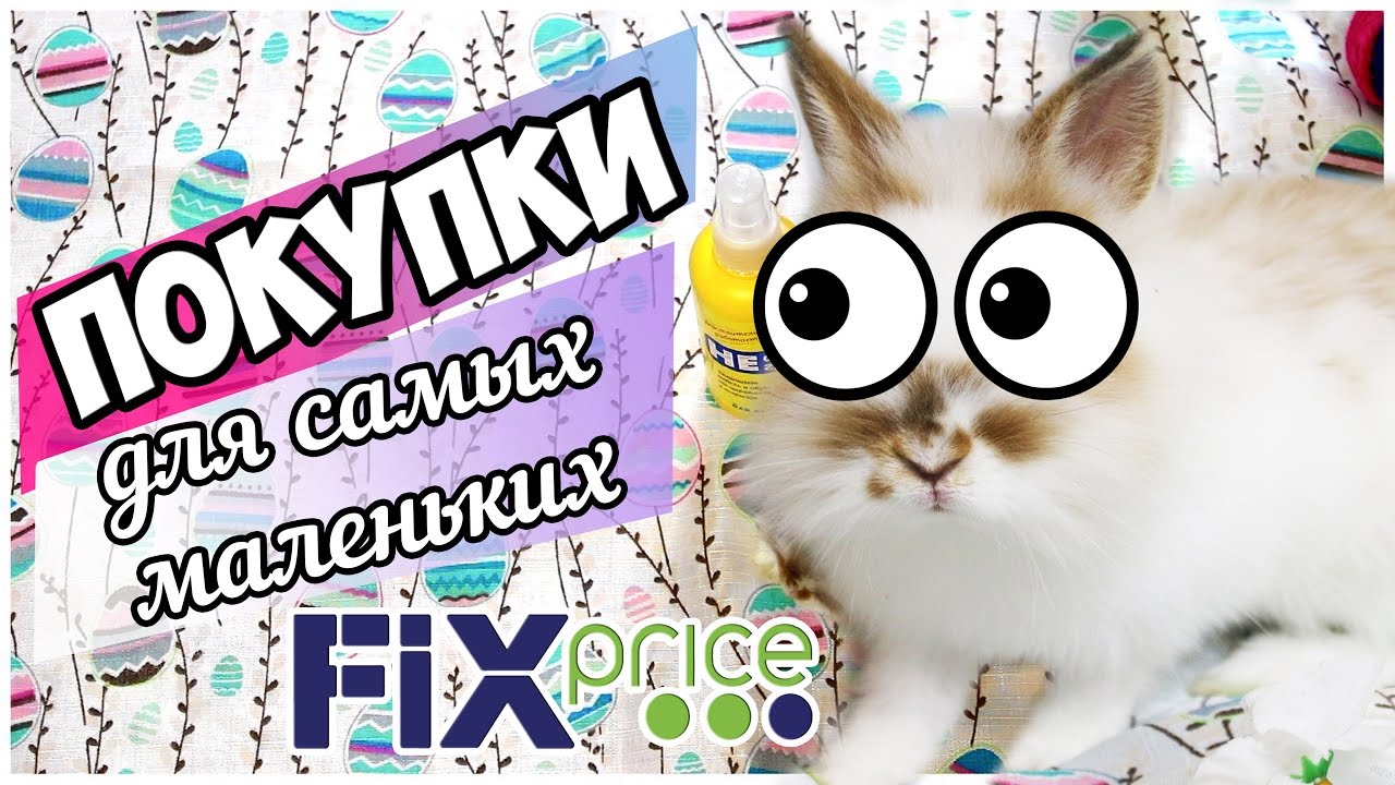 ПОКУПКИ FIX PRICE и ЗооМагазин:  ОТ ЧЕГО КРОЛИК В ВОСТОРГЕ?