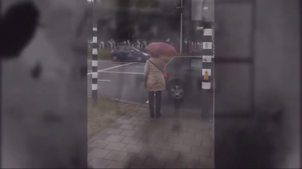 TrafiOne Przejście dla pieszych (TrafiOne Pedestrian crossing)