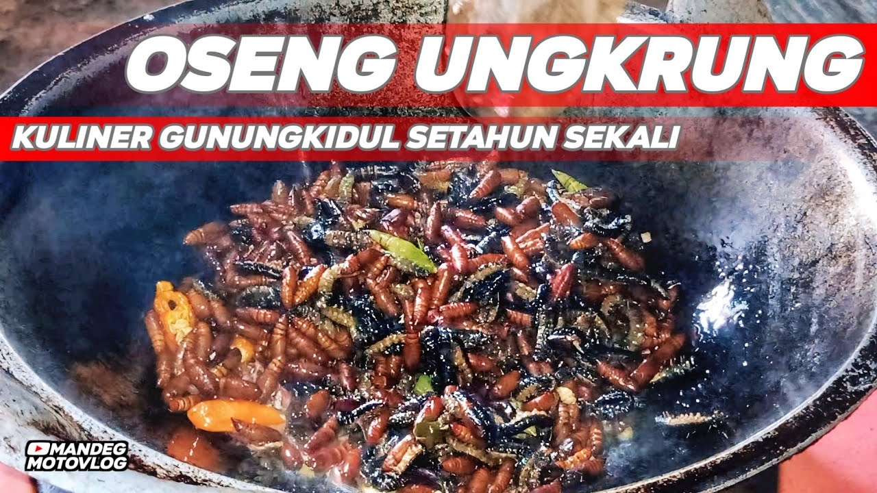 Oseng Ulat Jati Khas Gunungkidul - Kuliner Ekstrim Gunungkidul
