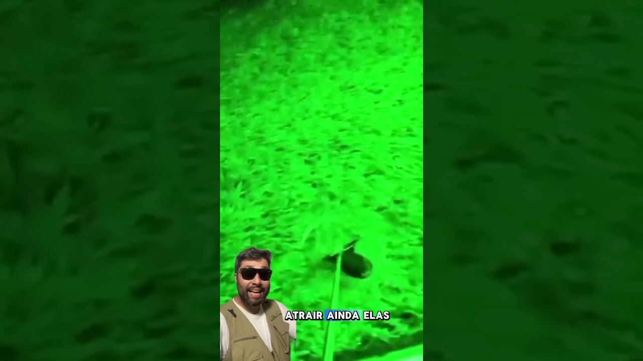 Lulas comuns são pescadas aos milhares quando se encontram cardumes Tanto na alimentação qto p/ isca