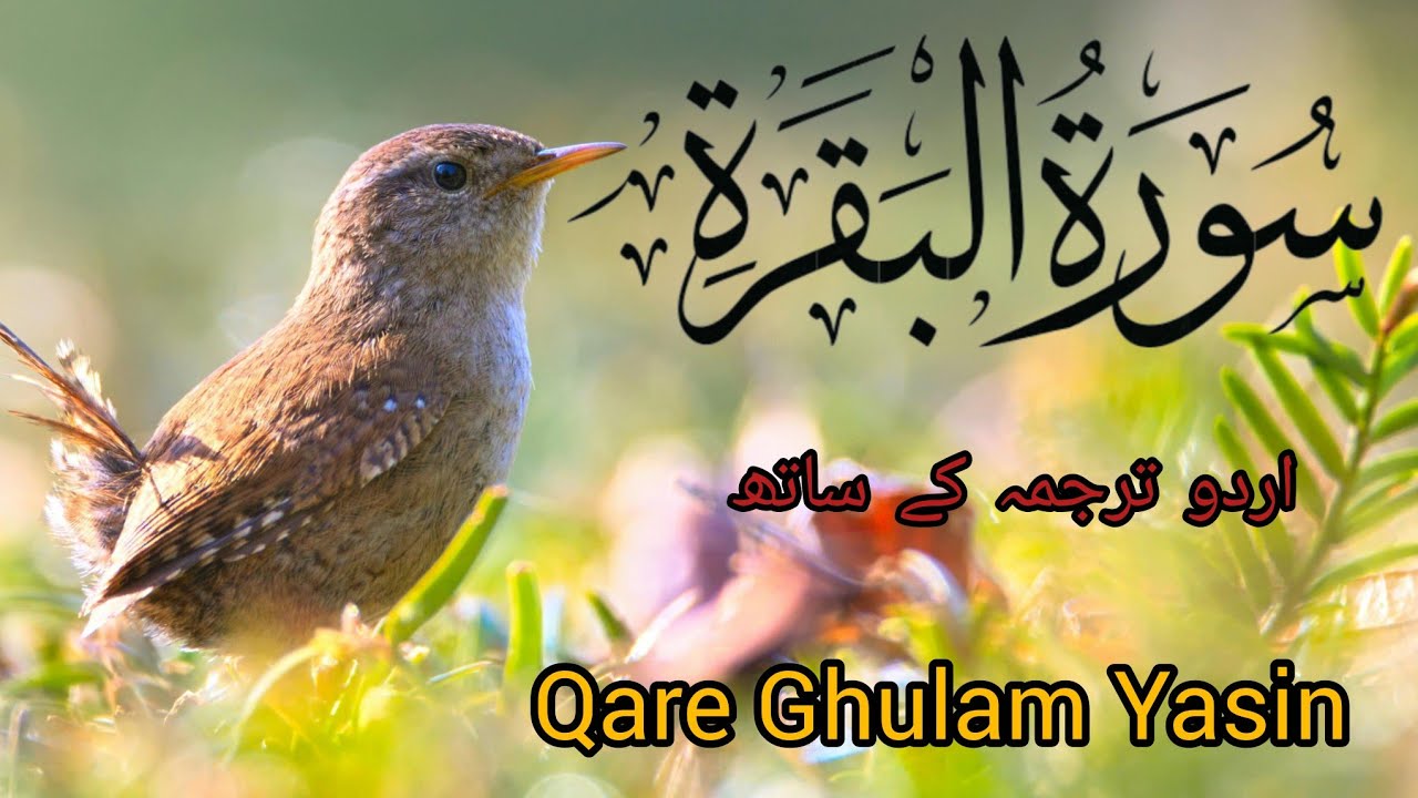 Nazra Quran with Tajweed – Lesson 33 | Surah Al-Baqarah | Qari Yasin Qadri | Sunni Academy