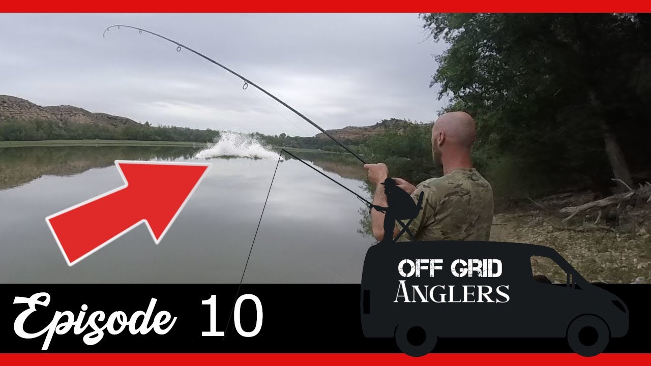 CARP FISHING SPAIN. ANOTHER PB SMASHED. RIVER EBRO CARP AND CATFISH.