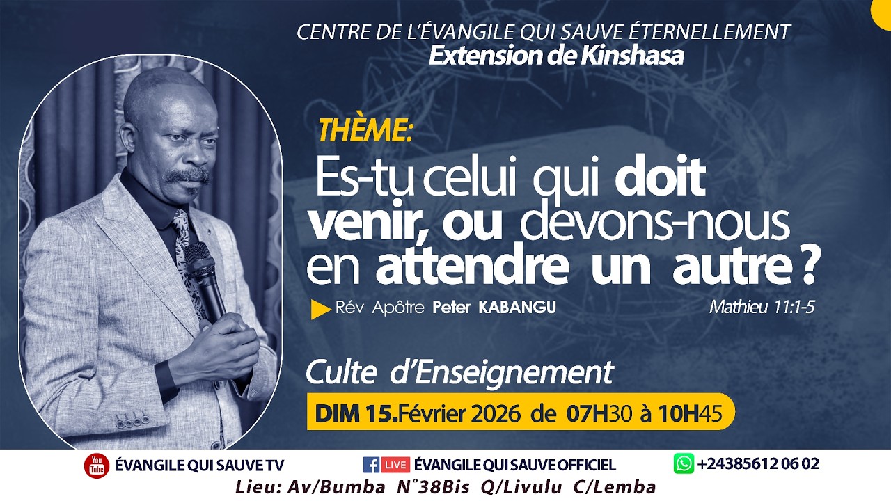 ✓✓Thème:  Es-tu celui qui doit venir, ou devons-nous en attendre un autre ?