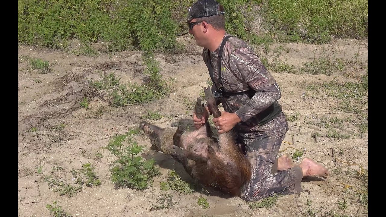 Catching a MAD wild Boar!!! {How to build a wild hog trap}