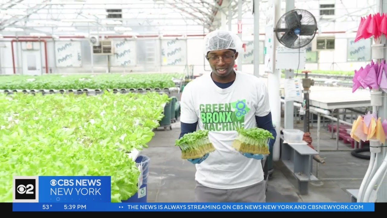 Urban farming grows in Brooklyn
