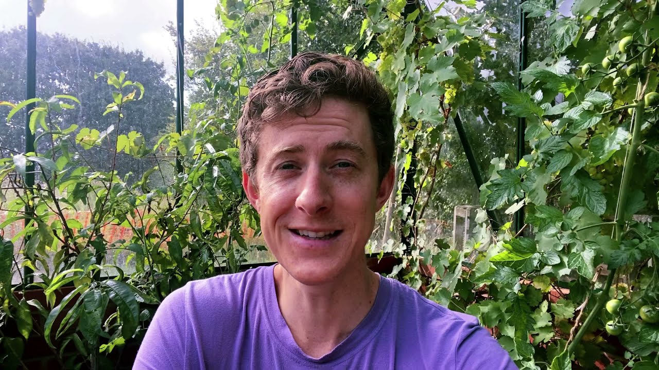 Invest in Experiences—Not Things… | Happy Habit #4