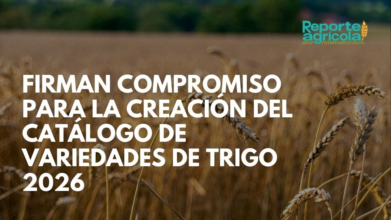 Firman compromiso para la creación del Catálogo de Variedades de Trigo 2026