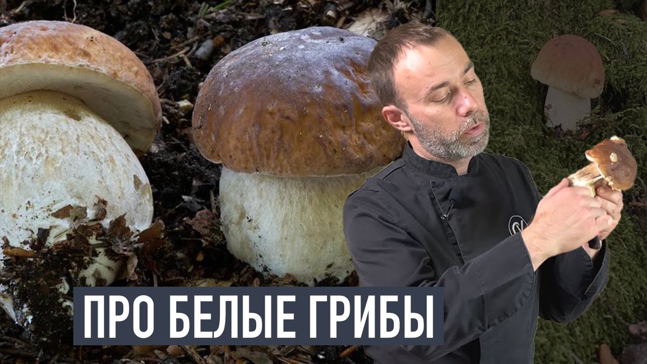 За грибами во Франции
