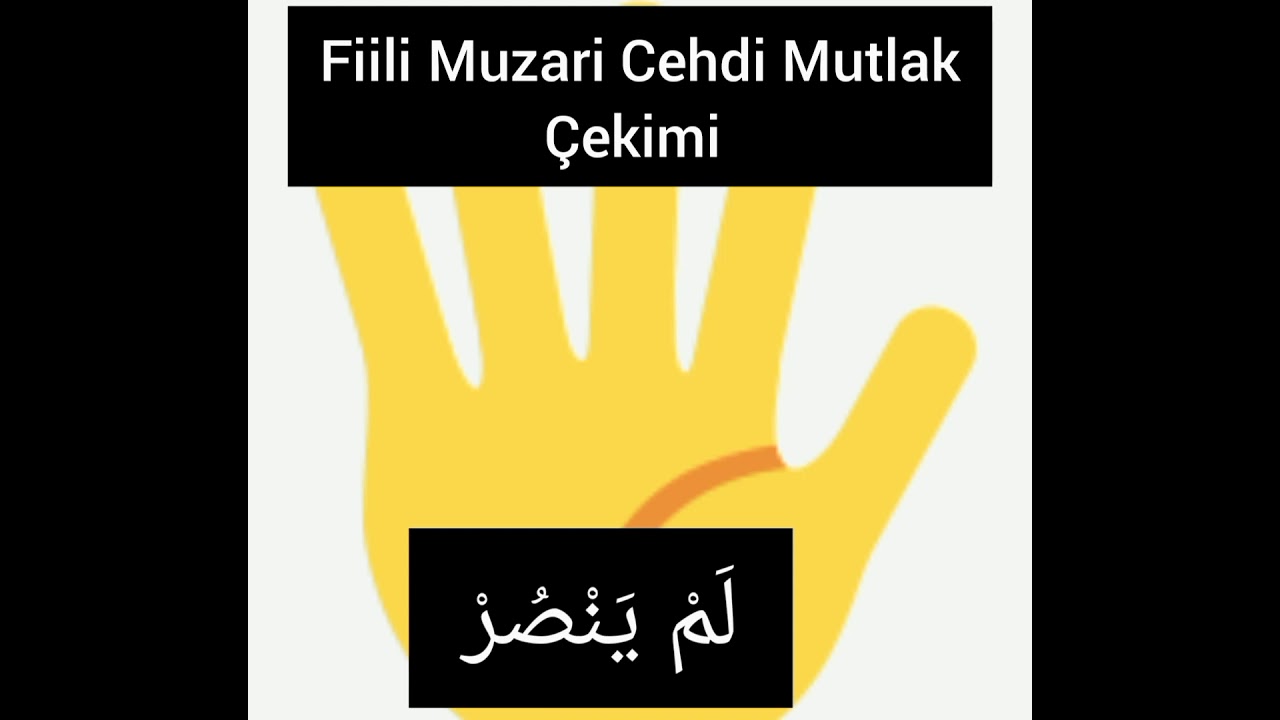 12.Arapça Dersleri / #Cehdimutlak #fiilçekimi#arapçaöğren#emsile#muttaride#kuranıkerim