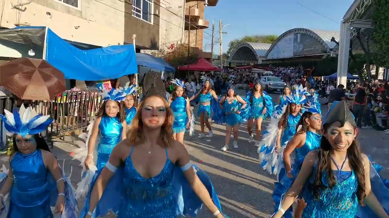 ESTUDIO F / CARNAVAL MIXQUIAHUALA 2026 / COMPARSA RIO