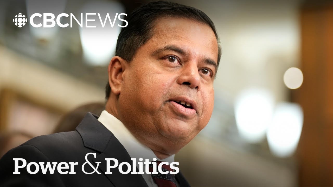Public safety minister grilled about leaked comments on gun buyback program | Power & Politics
