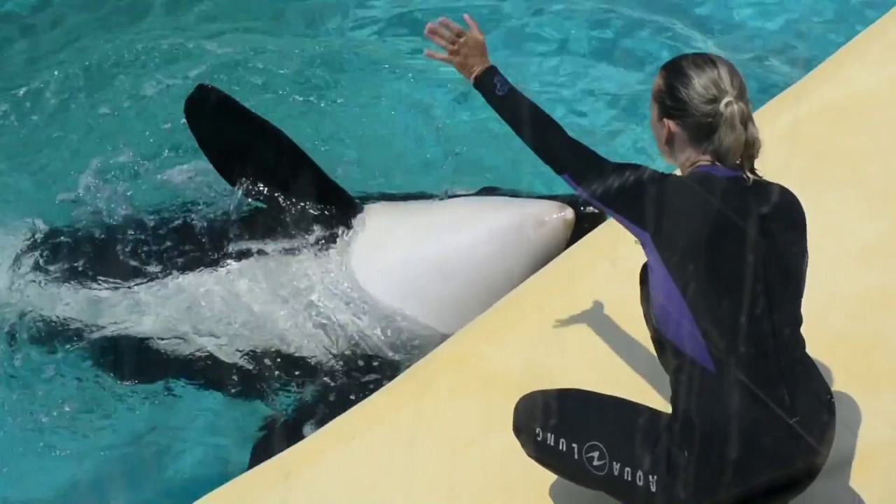 Keijo & Wikie Session at the lagon