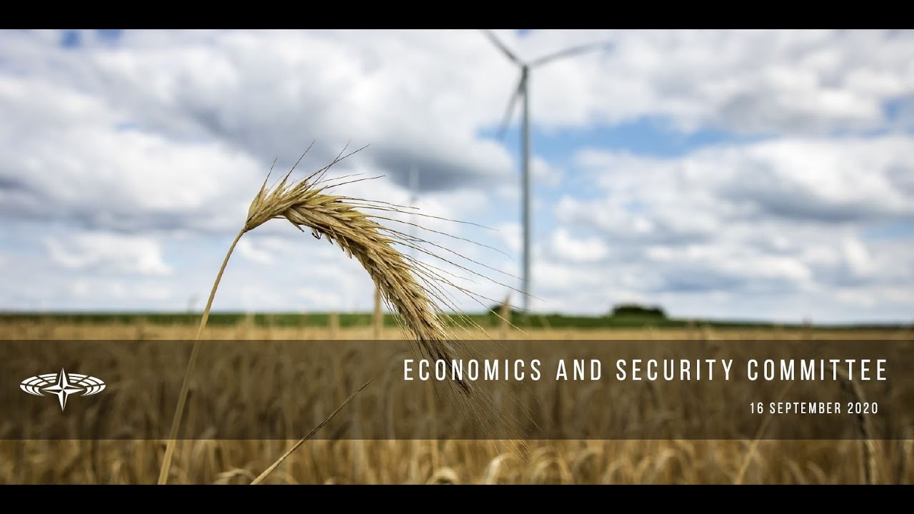 NATO PA Economics and Security Committee Meeting - September 2020