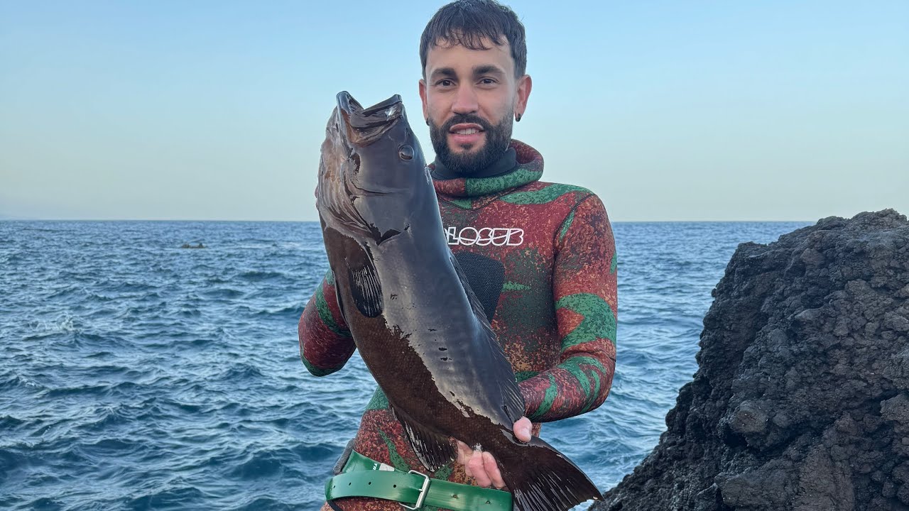 Pesca Submarina La Palma🇮🇨-Abade a la espera🔥 
