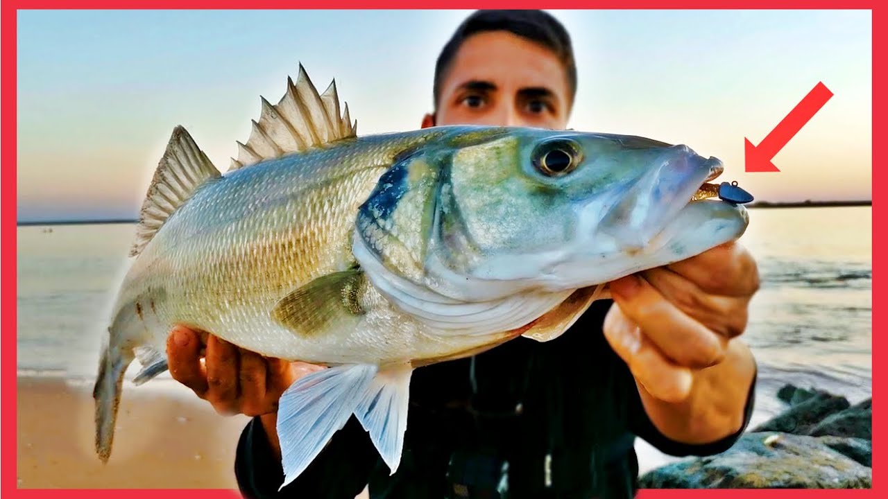 RÉCORD a ROCKFISHING con VINILO [NUEVOS SEÑUELOS] *NO ME LO ESPERABA*