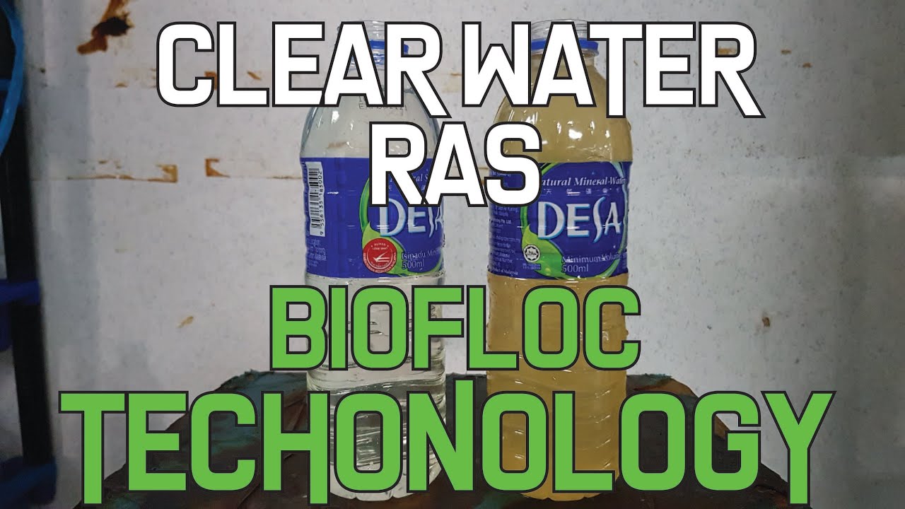 ClearWater RAS versus Biofloc Technology