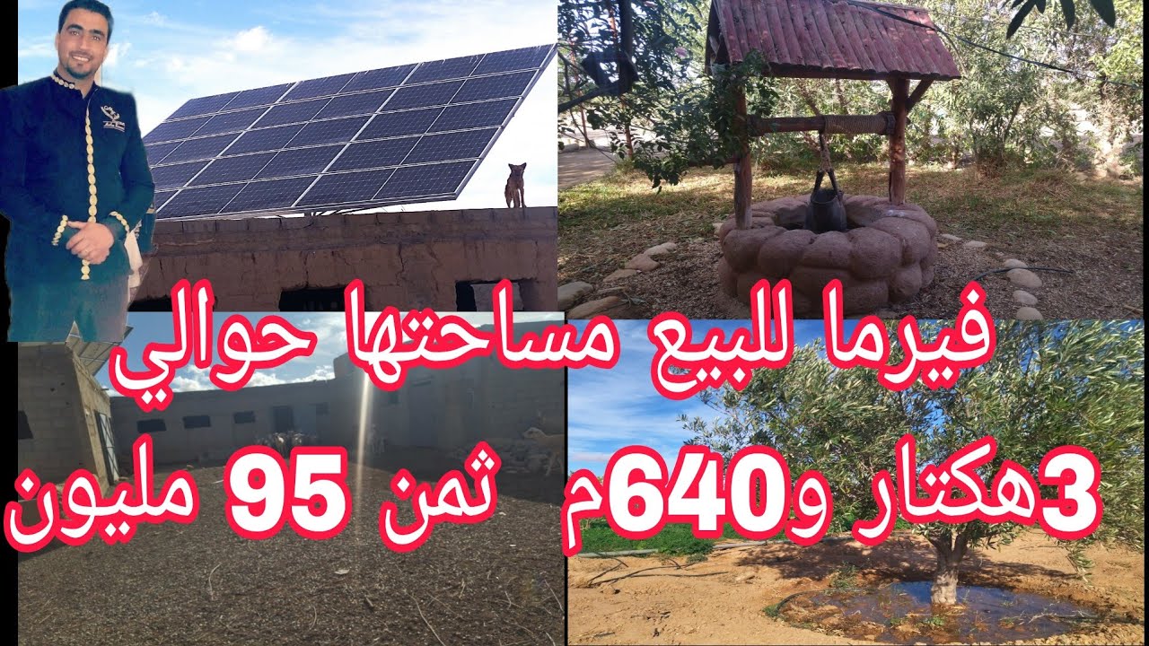 🛑هدا ليس متوفرا انه مباع🛑سلام عليكم ورحمة الله اضع لكم فيرما للبيع مساحتها حوالي 3هكتار و640م