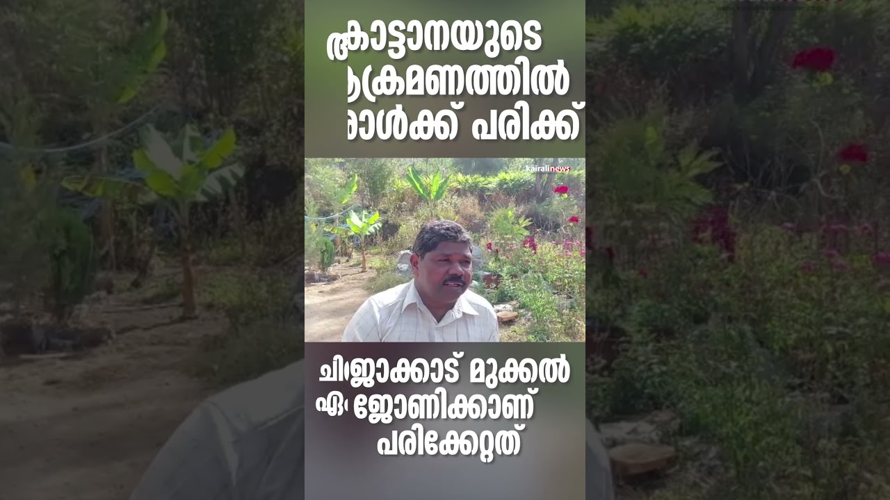 CHINNAKANAL | ELEPHANT ATTACK | IDUKKI