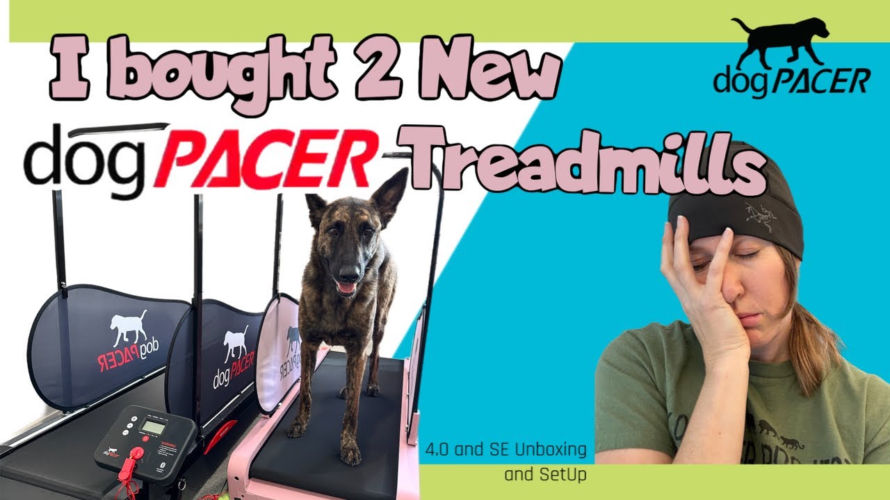 I Bought 2 New Dog Pacer Treadmills