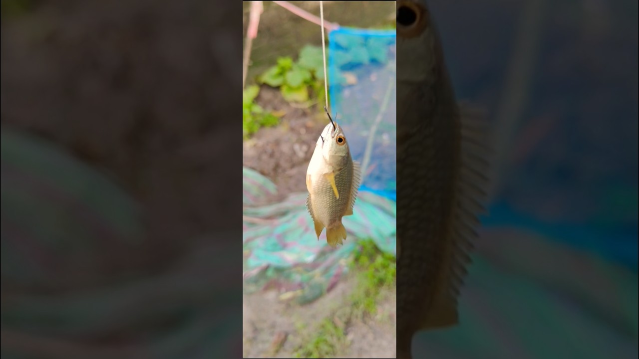 huk fishing #92