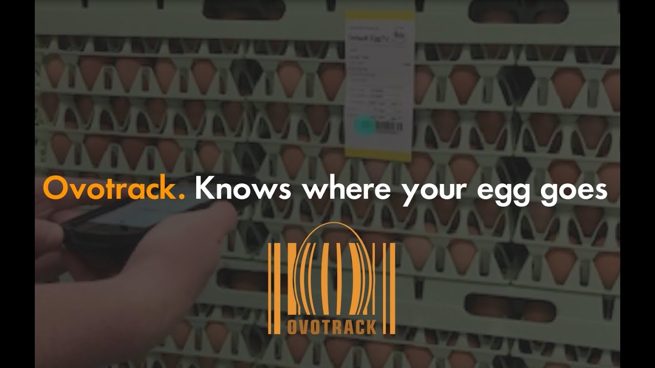 Ovotrack Egg Grading video