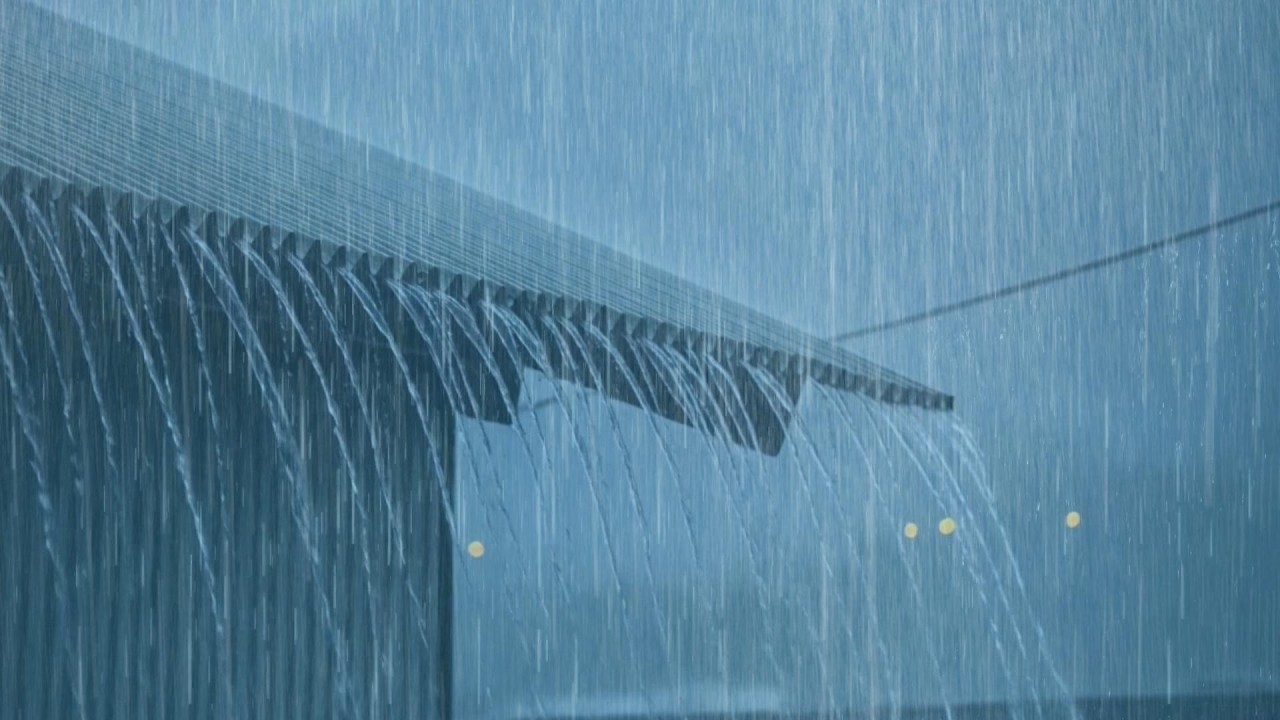 Heavy Rain Sounds on Tin Roof for Sleeping 🌧️ Fall Asleep Fast with Gentle Thunder