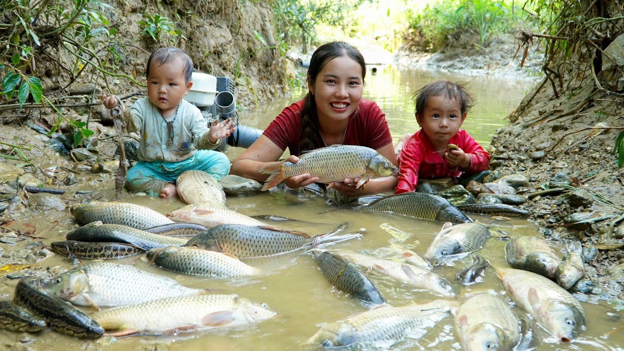 How to harvest wild fish from puddles to sell at the market - cook with your children