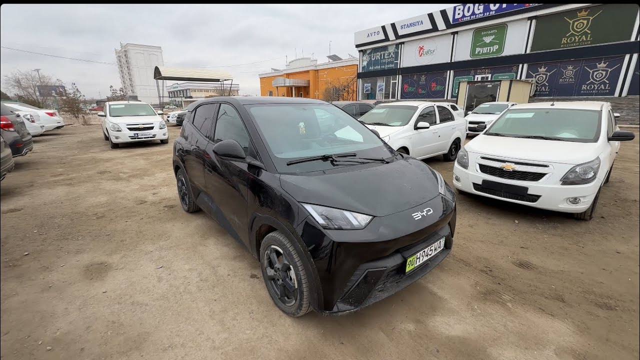 Byd seagull 2024 ☎️ +99899-030-1998