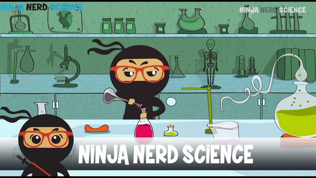 Welcome to Ninja Nerd Science!