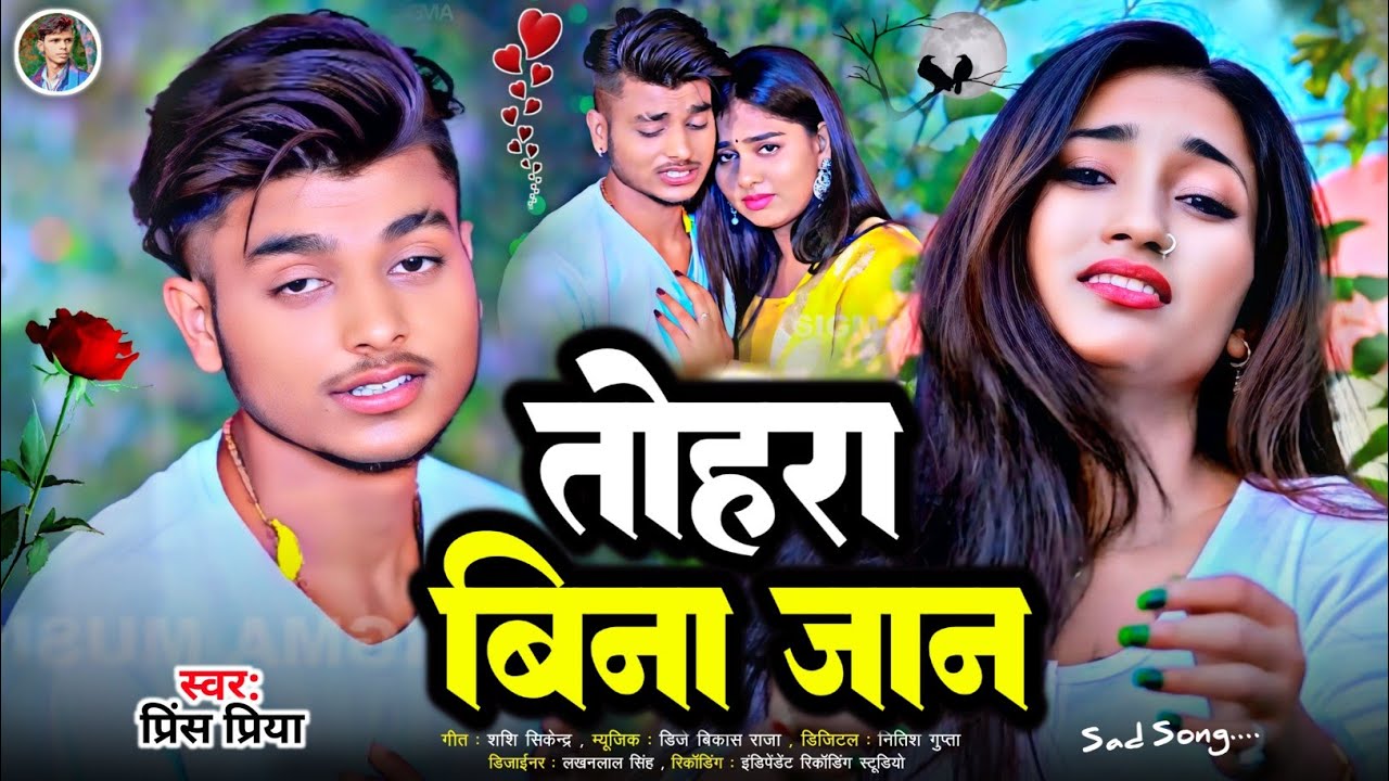 #Bewafa sad song gana Prince Priya ka Dard bhara#तोहरा बिना जान#Jakhmi jukebox#2026 ka nonstop gana