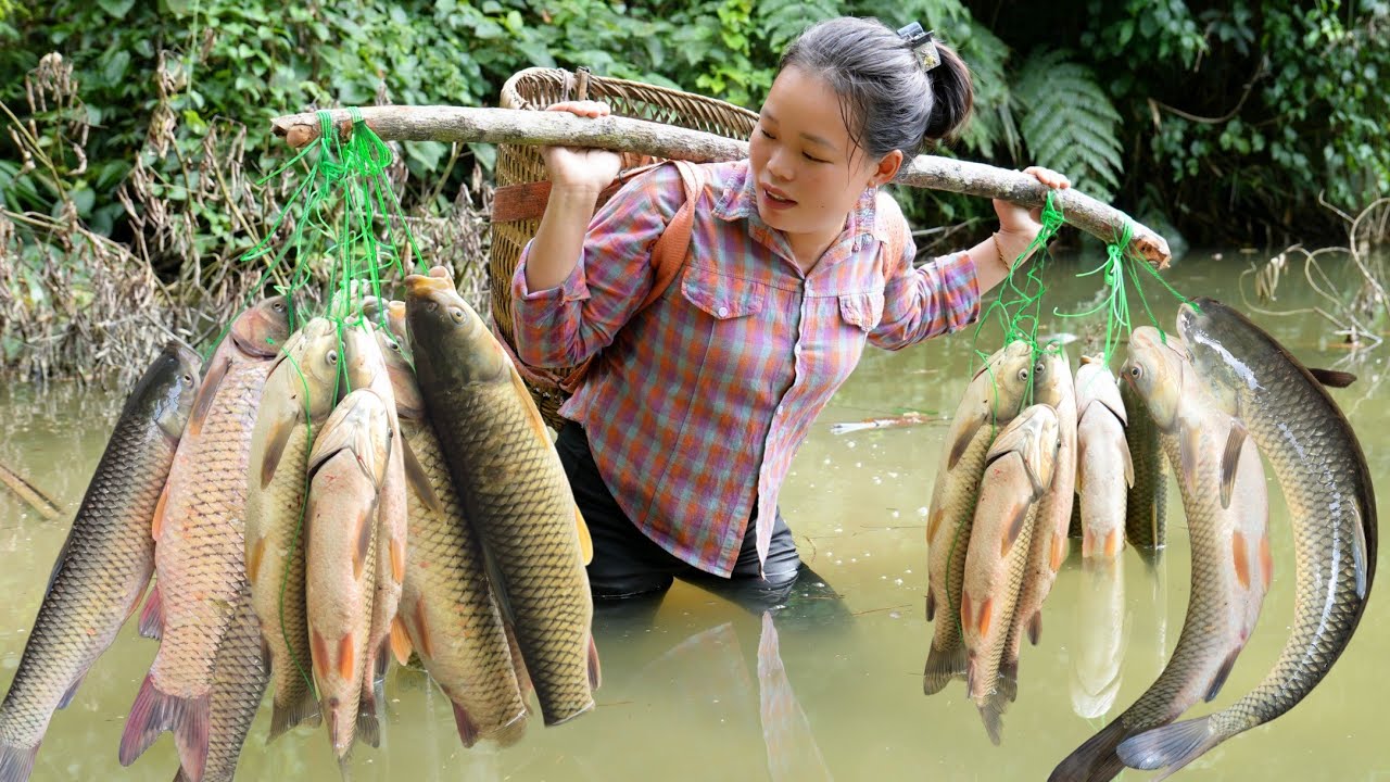 Harvest a Huge Load of Fish to Bring to The Market to Sell - Enjoy Delicious Grilled Fish.