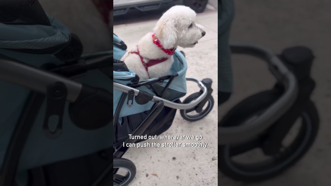 Review pet jogging stroller's performance on different terrains