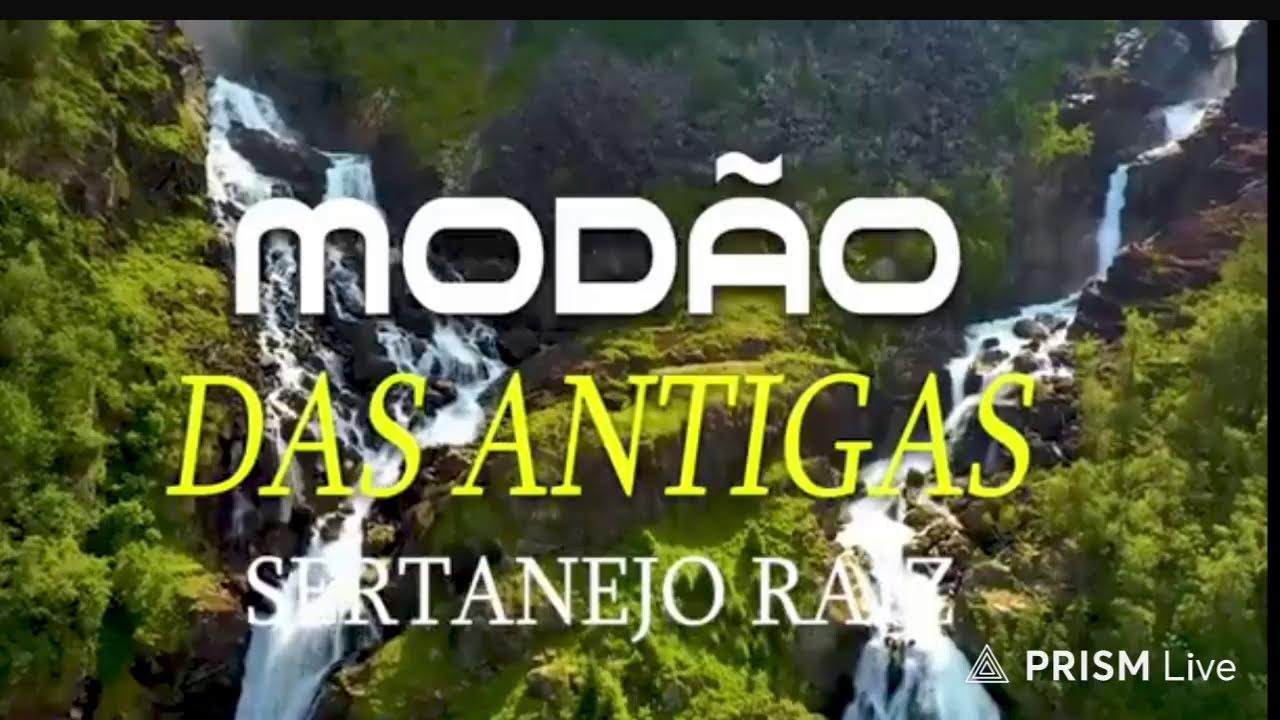 manhã sertaneja modão raiz
