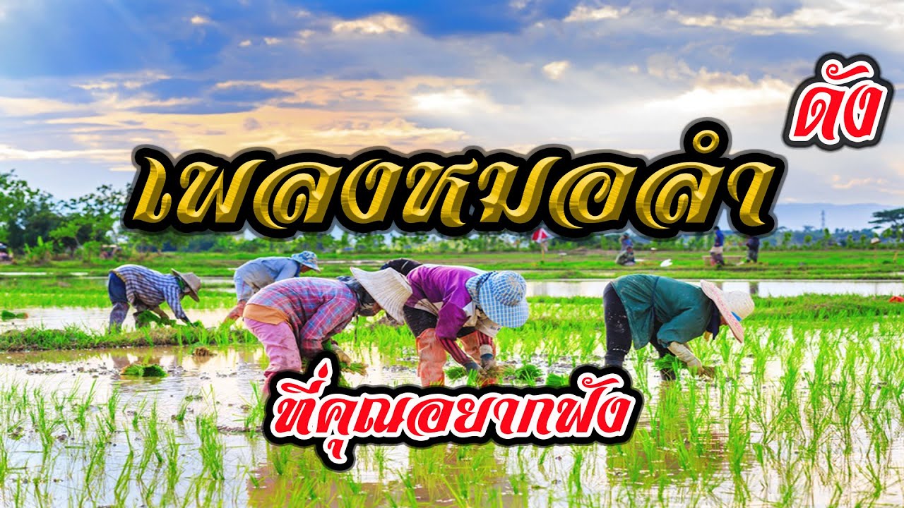 เพลงหมอลำดัง ที่คุณอยากฟัง