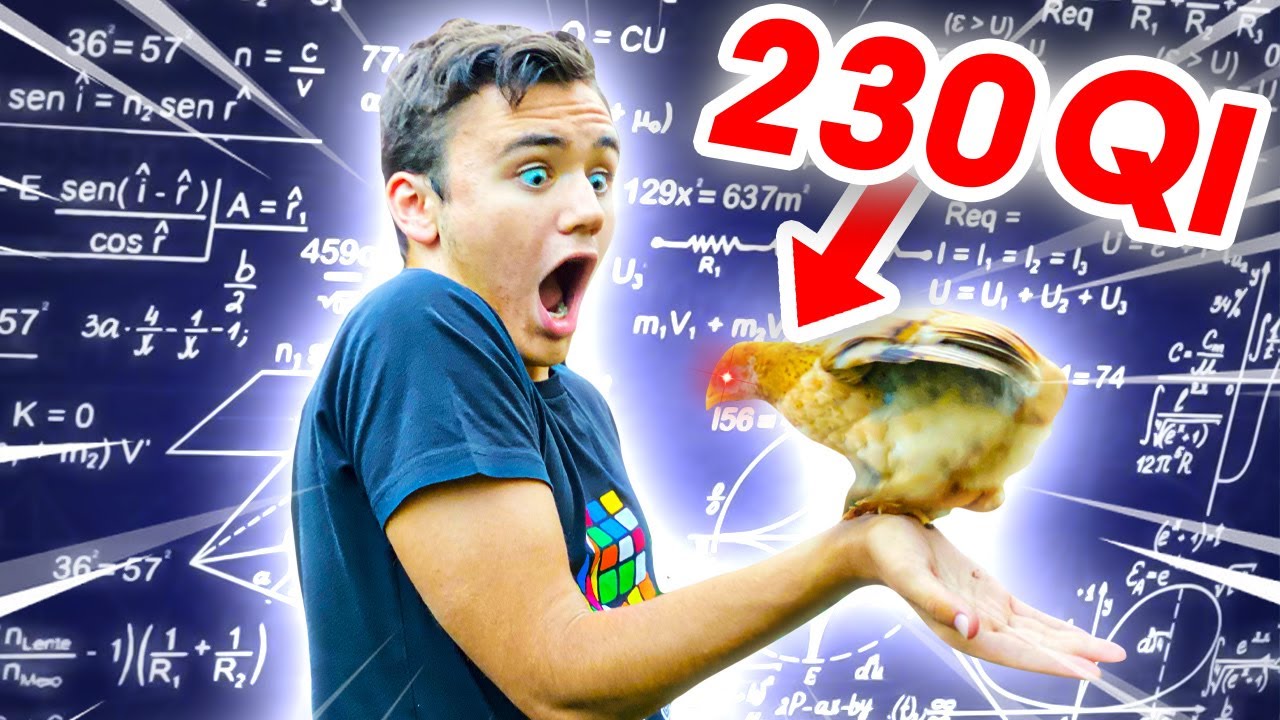 JE TESTE L'INTELLIGENCE DE MES POUSSINS !!!😱🐥- Néo The One