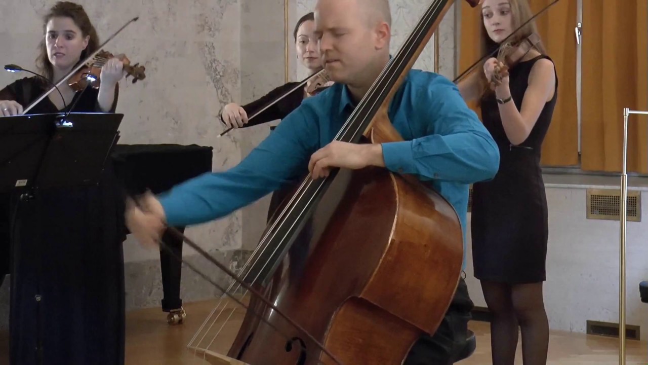 Anton Zimmermann Konzert für Kontrabass und Orchester in D-Dur   I. Allegro moderato