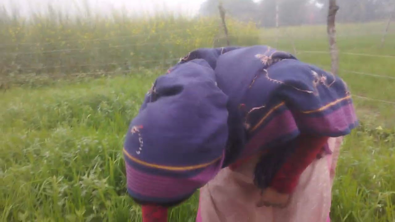 बहुत सुंदर बिटिया पतोहू मनमानी कामेडी वीडियो अनिता राधा कामेडी ब्लॉक