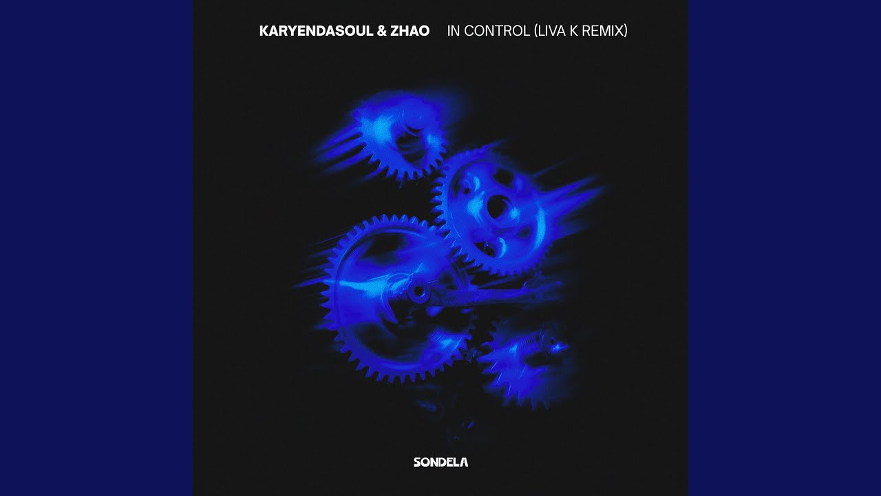In Control (Liva K Remix)