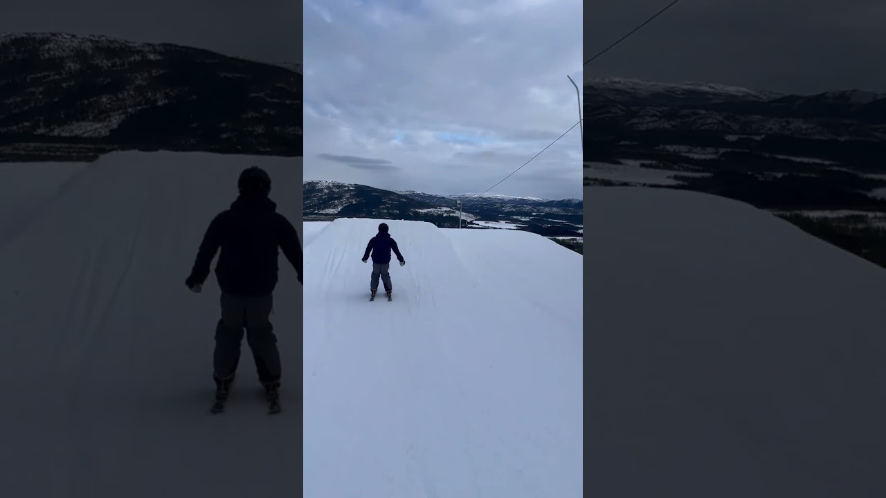 Mini skis