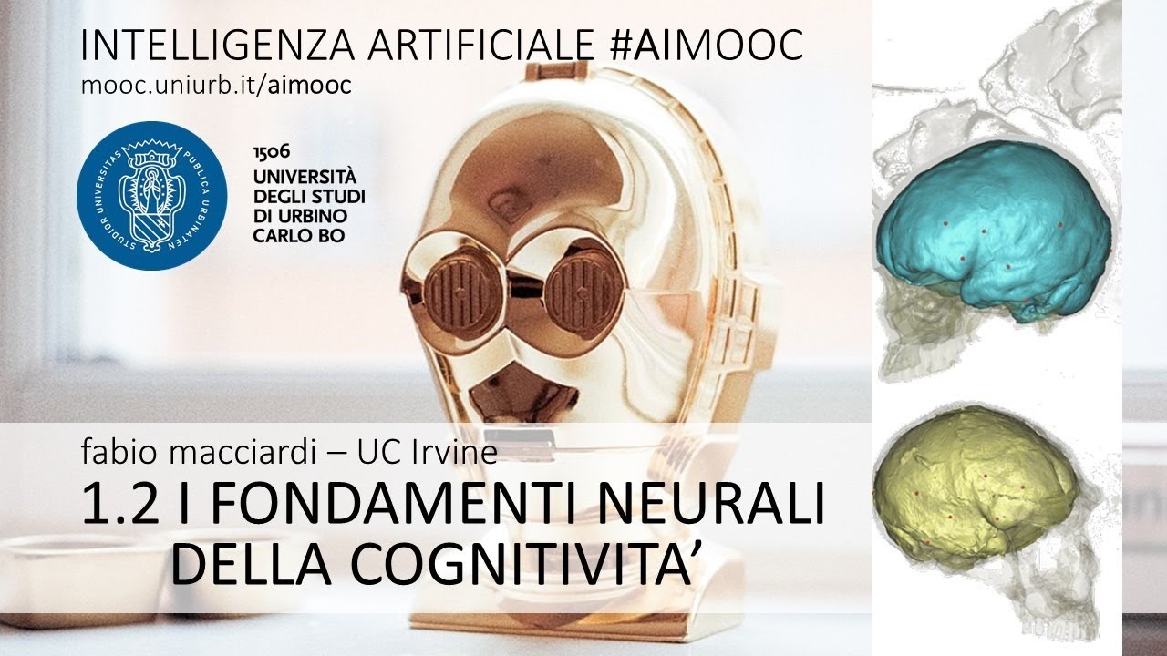 AIMOOC 1.2 - I fondamenti neurali della cognitivit&agrave;