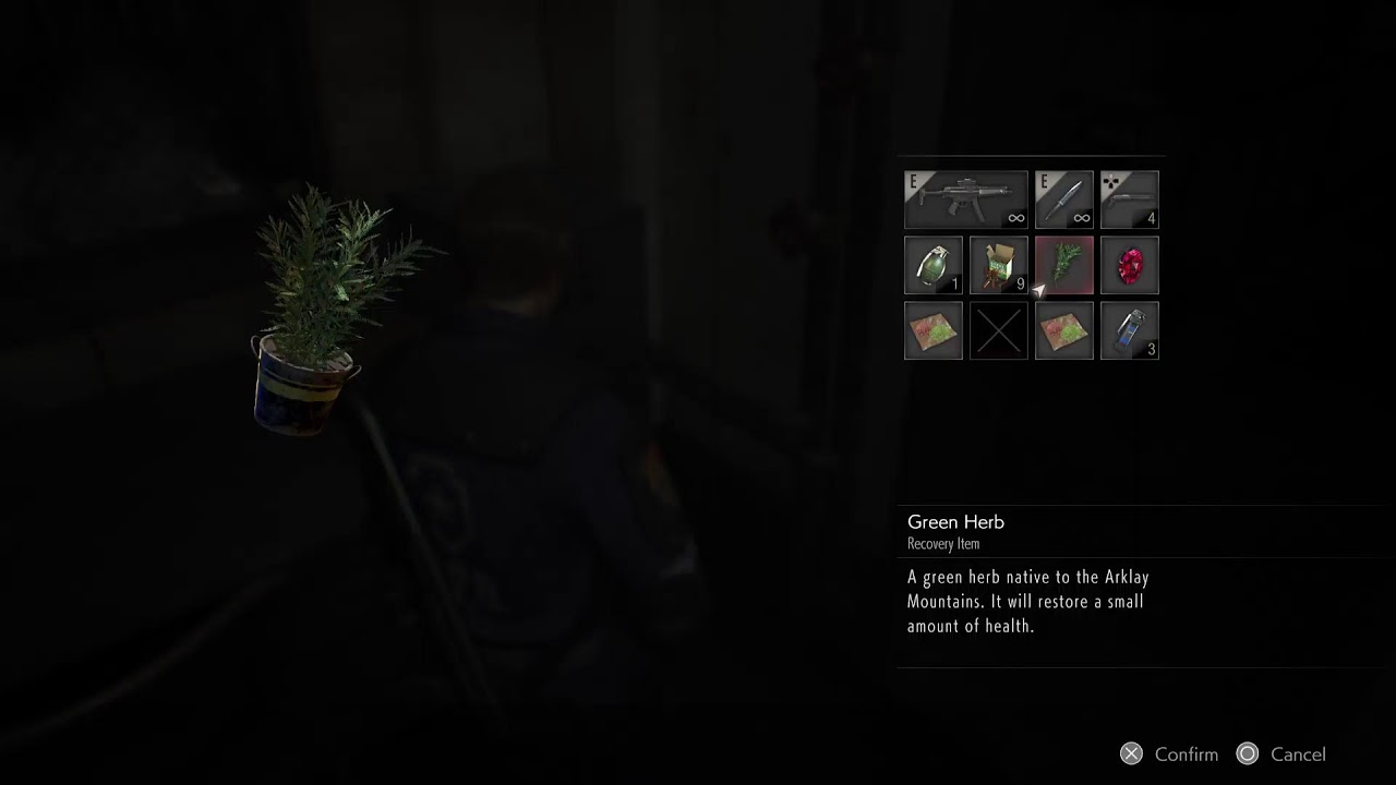 Resident return to racoon