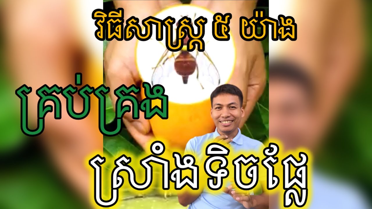 វិធីសាស្រ្តសំខាន់៥យ៉ាង គ្រប់គ្រងស្រាំងទិចផ្លែ 