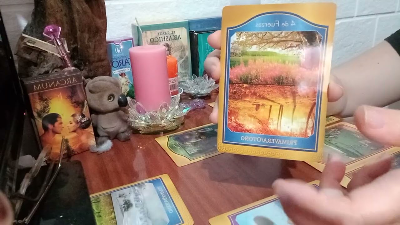 TE CUENTO QUE LLEGA A TU VIDA// MENSAJE DEL TAROT AKASHICO 