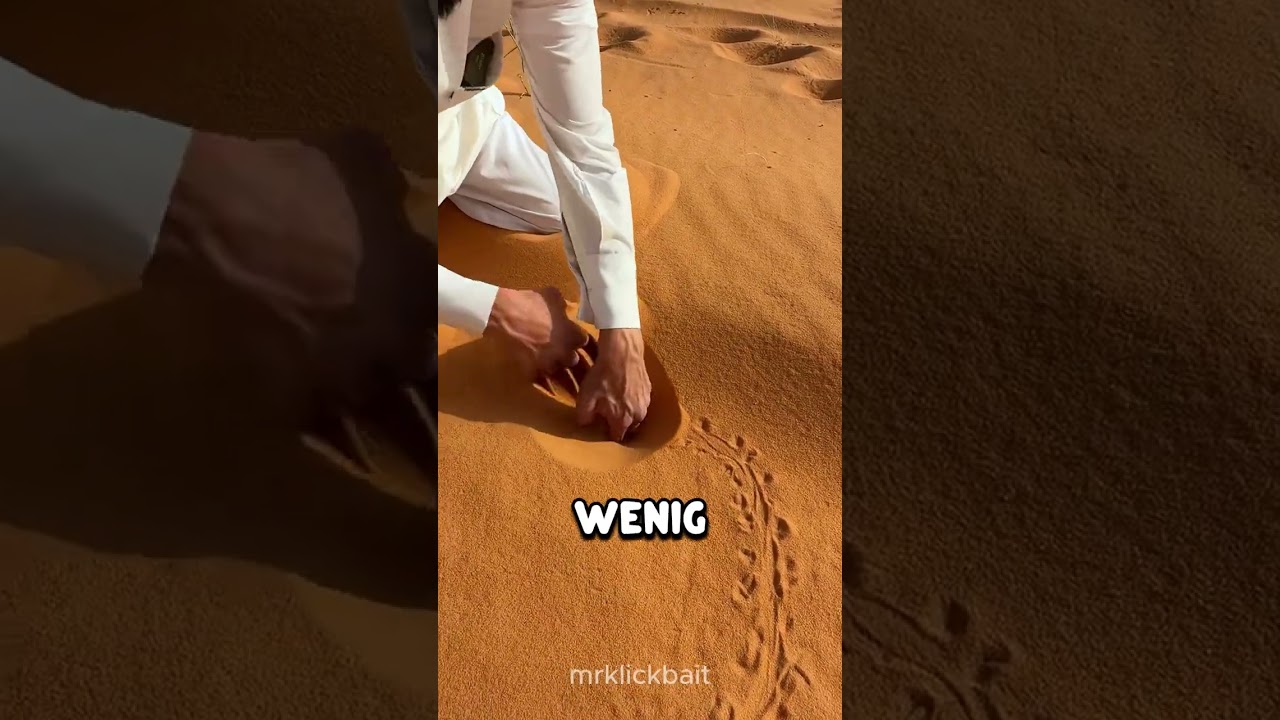 Ein sehr seltenes Tier in der Wüste 😮
