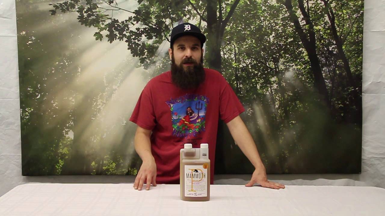 MAMMOTH P Microbes Product Highlight