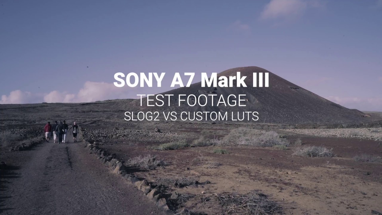 Sony A7III Slog2 vs Custom LUT Test Footage