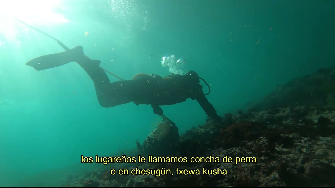 Documental San Juan de la Costa