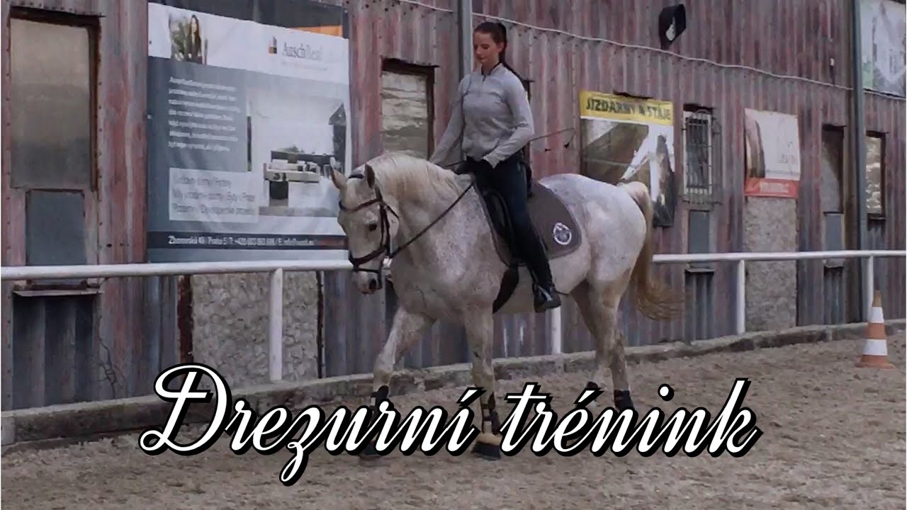Drezurní trénink