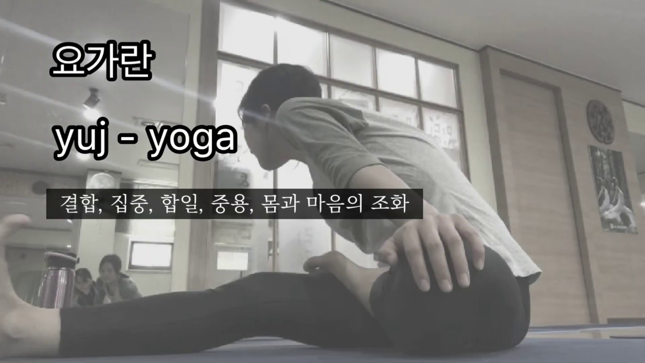 요가란? 간단하게 알아보는 요가의 종류, 요가수련 8단계, 요가경전(feat.대한요가협회)