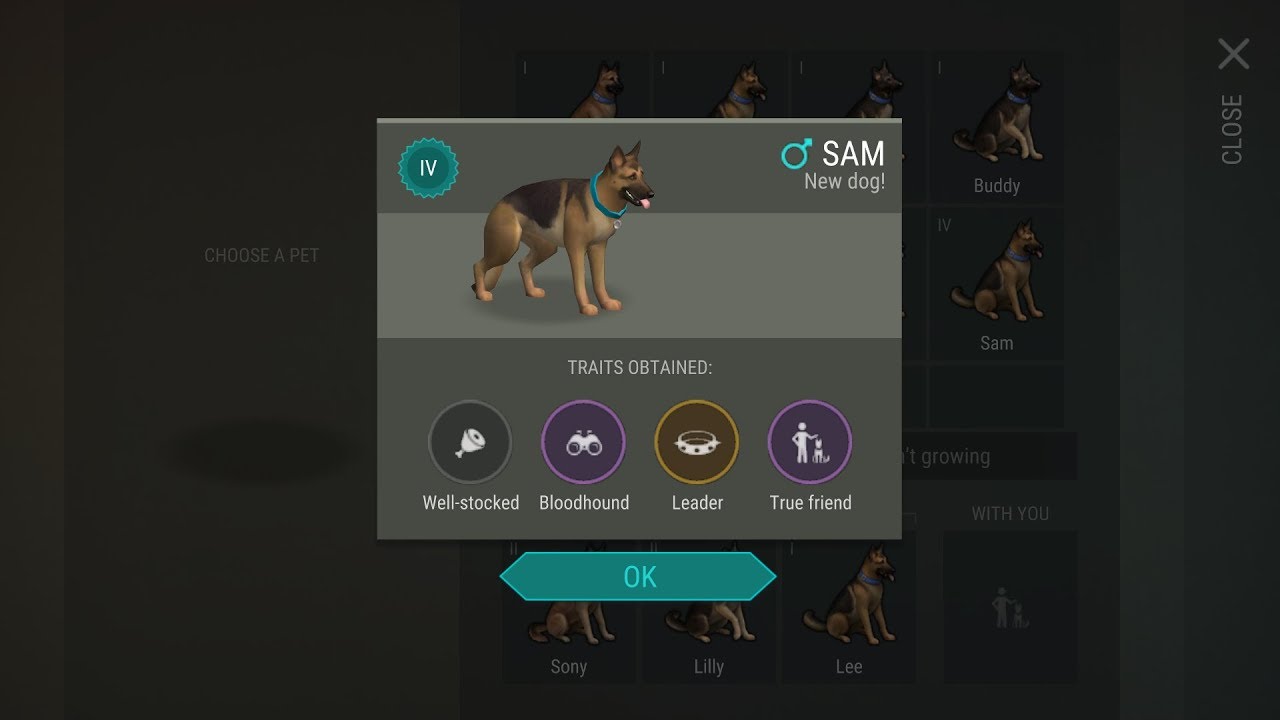 How To Get True Friend Dog Super Fast!! - Last Day On Earth (2020 Confirmed/Updated!!)